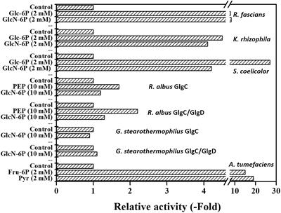 Carbohydrate Metabolism in Bacteria: Alternative Specificities in ADP-Glucose Pyrophosphorylases Open Novel Metabolic Scenarios and Biotechnological Tools